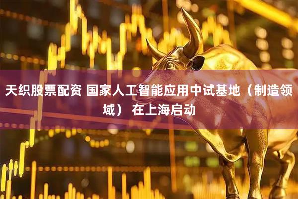 天织股票配资 国家人工智能应用中试基地（制造领域） 在上海启动