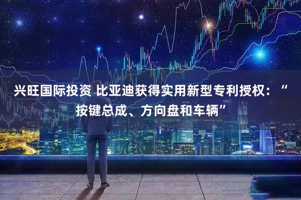 兴旺国际投资 比亚迪获得实用新型专利授权：“按键总成、方向盘和车辆”