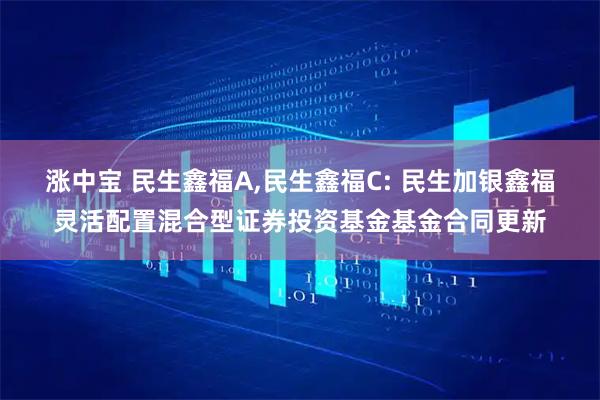 涨中宝 民生鑫福A,民生鑫福C: 民生加银鑫福灵活配置混合型证券投资基金基金合同更新