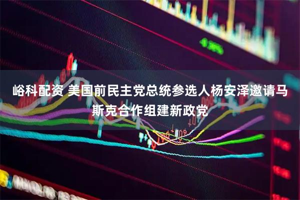 峪科配资 美国前民主党总统参选人杨安泽邀请马斯克合作组建新政党