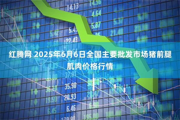 红腾网 2025年6月6日全国主要批发市场猪前腿肌肉价格行情